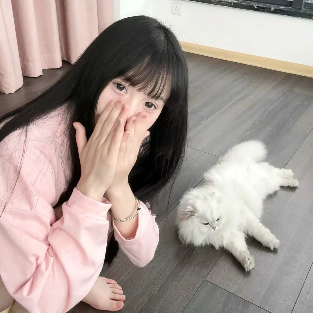 咪走鸡