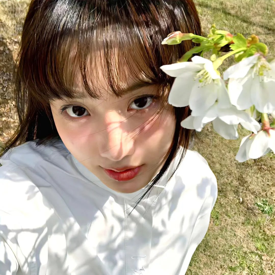 一曲相思情未了